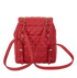 Small Urban Spirit Backpack, back view